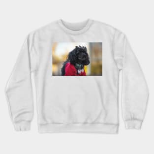 Why are you over there Crewneck Sweatshirt